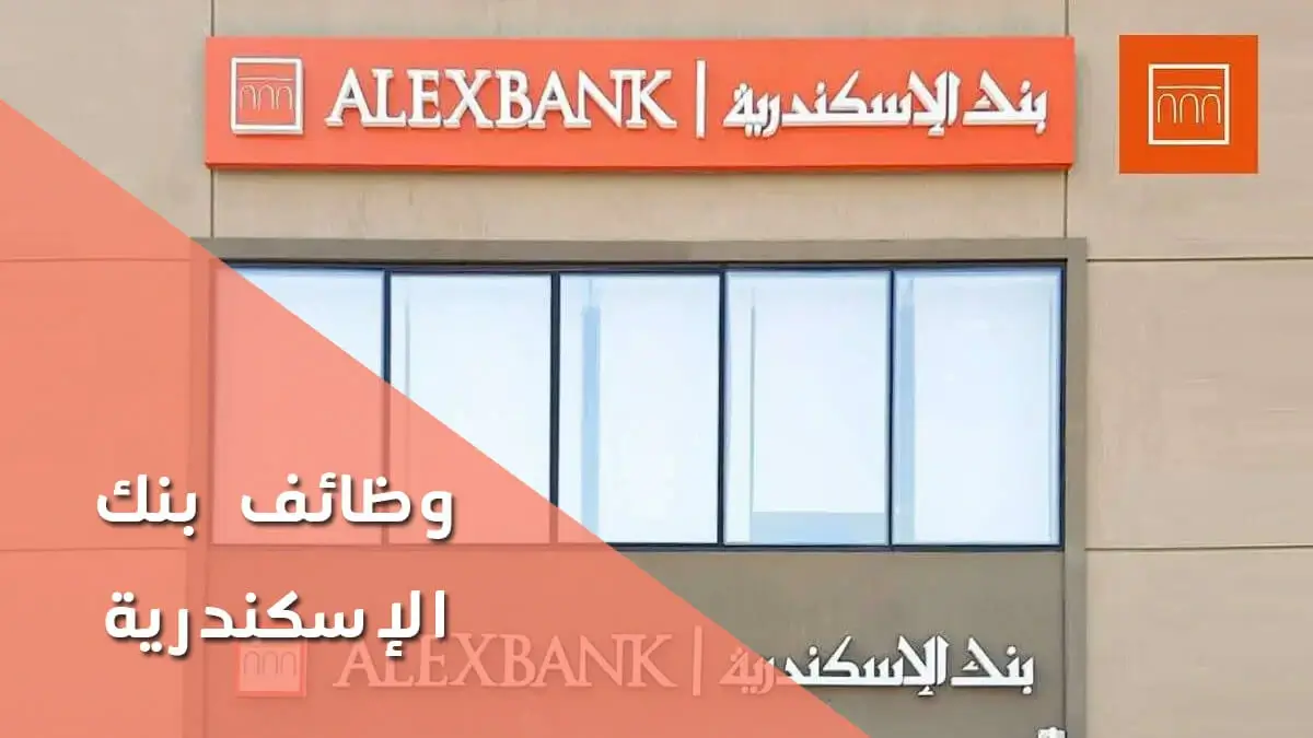 وظائف مصلحة الجمارك : مزايا العمل والمحافظات المتاحة